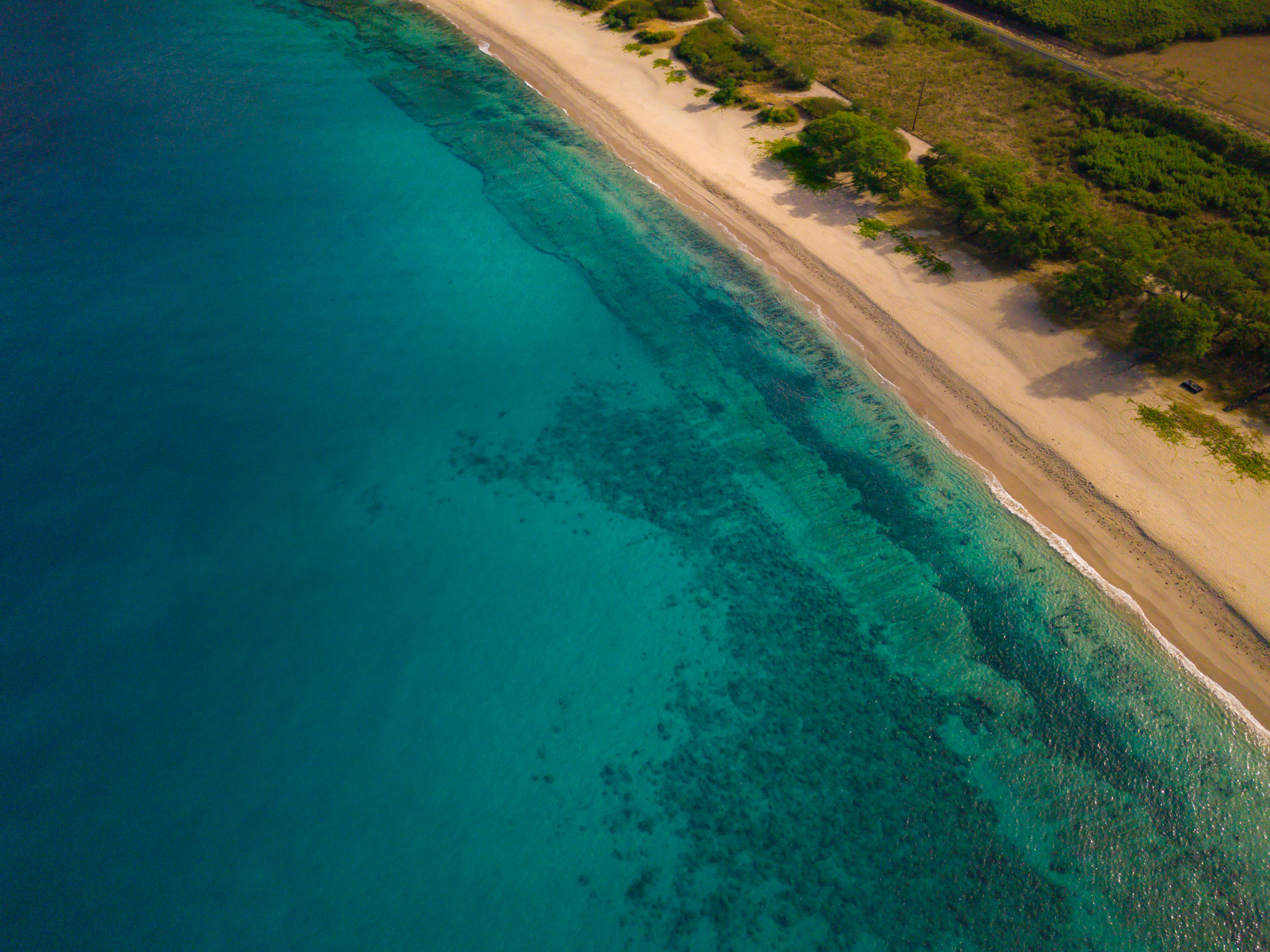 Makua1